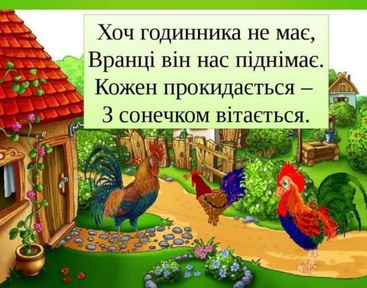 Загадки для дітей 8–9 років з відповідями