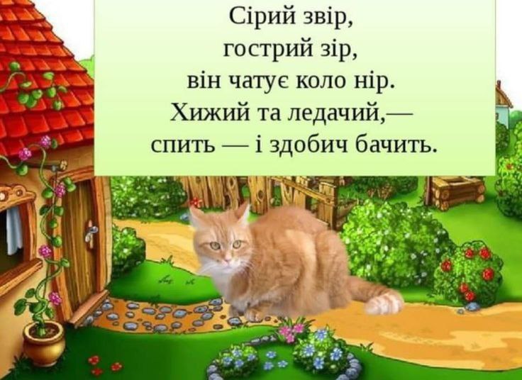 загадки для дітей 8-9 років