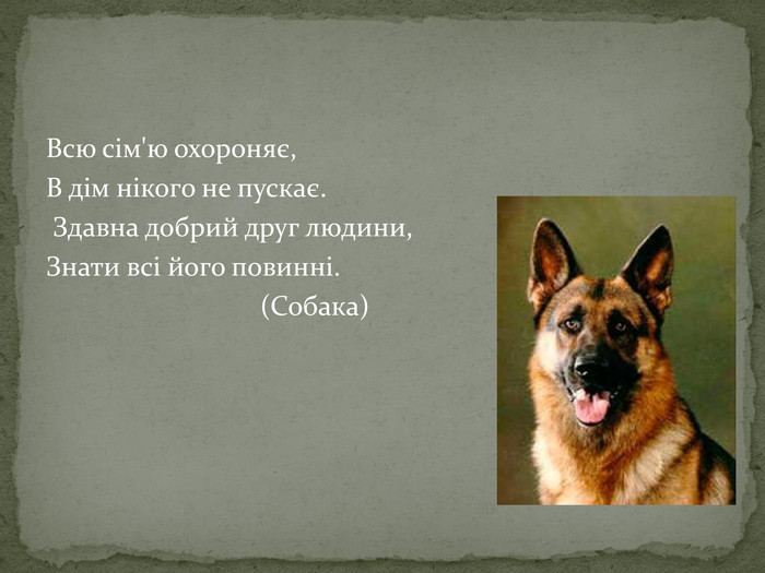 Загадки про домашніх тварин