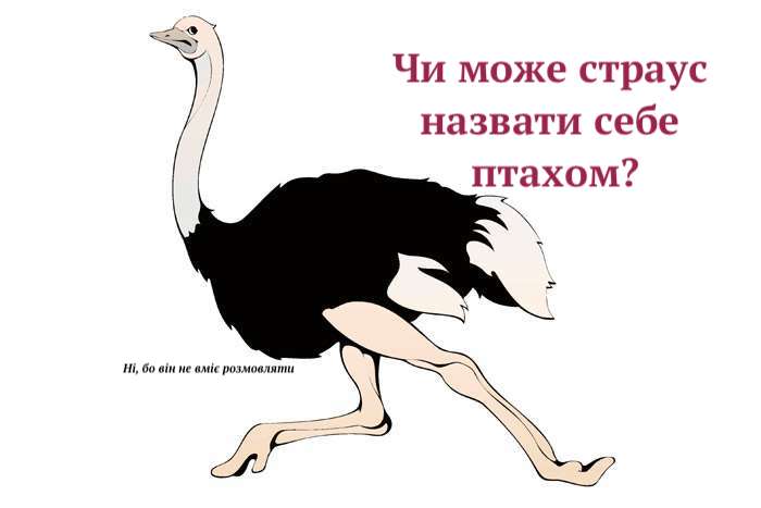 Логічні загадки для дітей 8–9 років