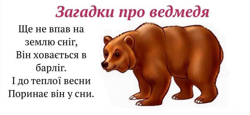 Найцікавіші загадки про тварин