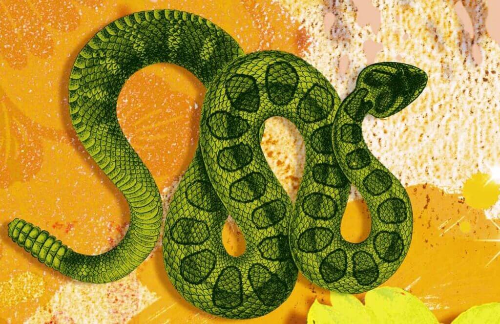 Які роки Змії були раніше